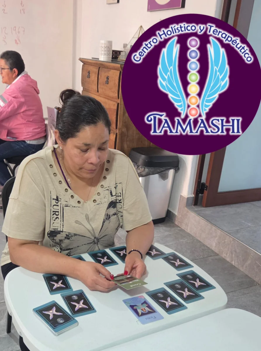 Imagen 6